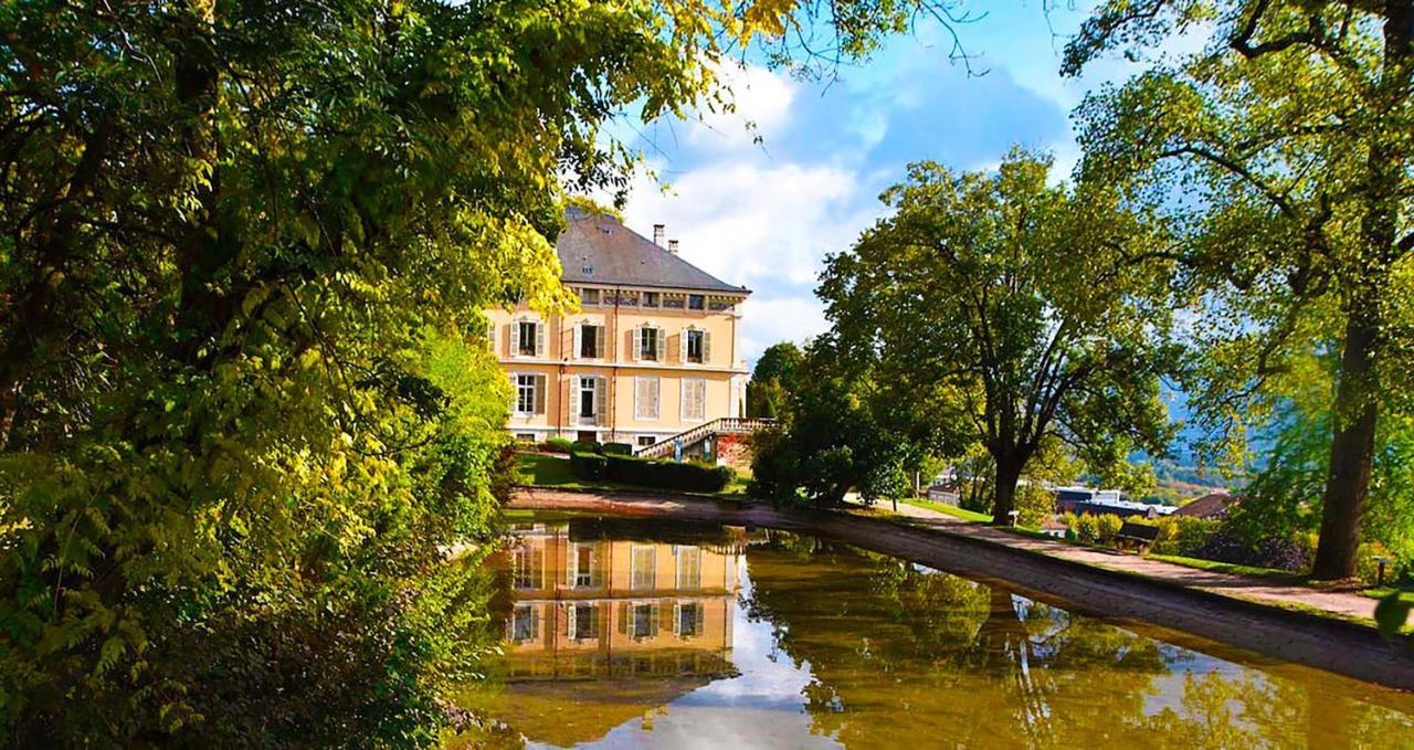 Appart'Hotel Chaleureux Au Coeur De Tullins - Le Roitelet Zewnętrze zdjęcie